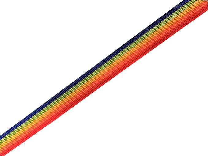 Nylon Dog Leash 8 Feet Long, Walking Training Dog Leashes for Medium Large Dogs(1" X 8 ft, Rainbow)