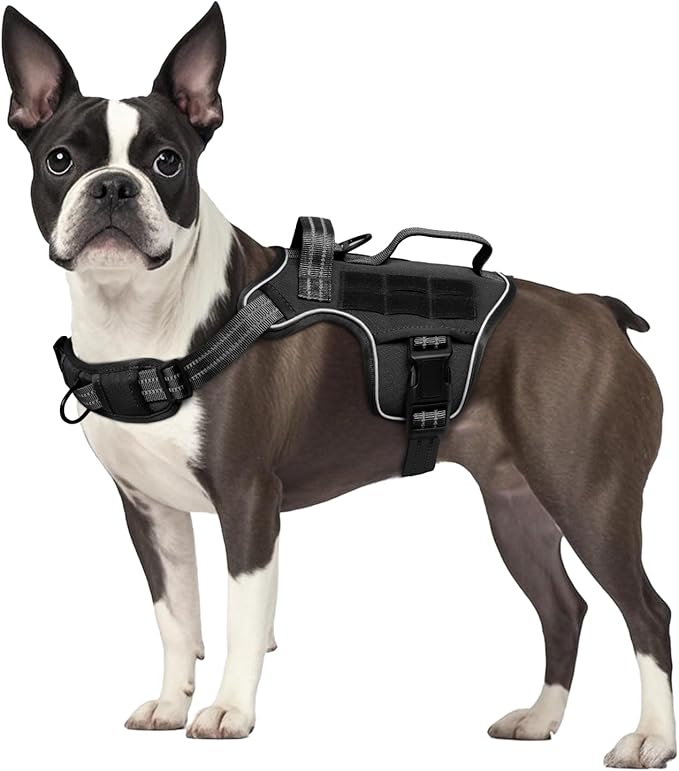 Small Dog Harness, Heavy Duty Tactical No Pull Dog Harness, No Choke, Easy On and Off Pet Vest with Molle System, Adjustable Reflective Dog Vest with Breathable Padded for Walking Hiking Training