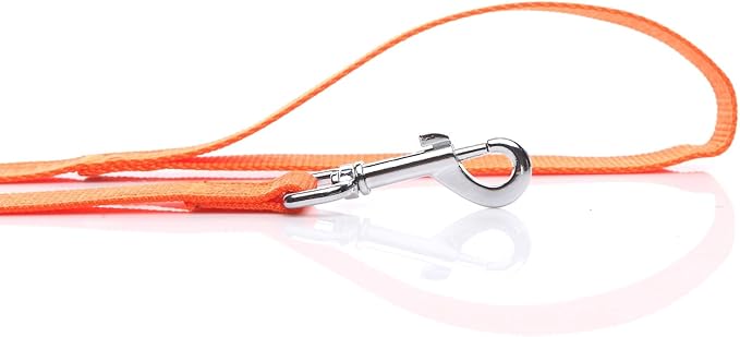 Nylon Dog Leash 8 Feet Long, Walking Training Dog Leashes for Medium Large Dogs(1" X 8 ft, Orange)