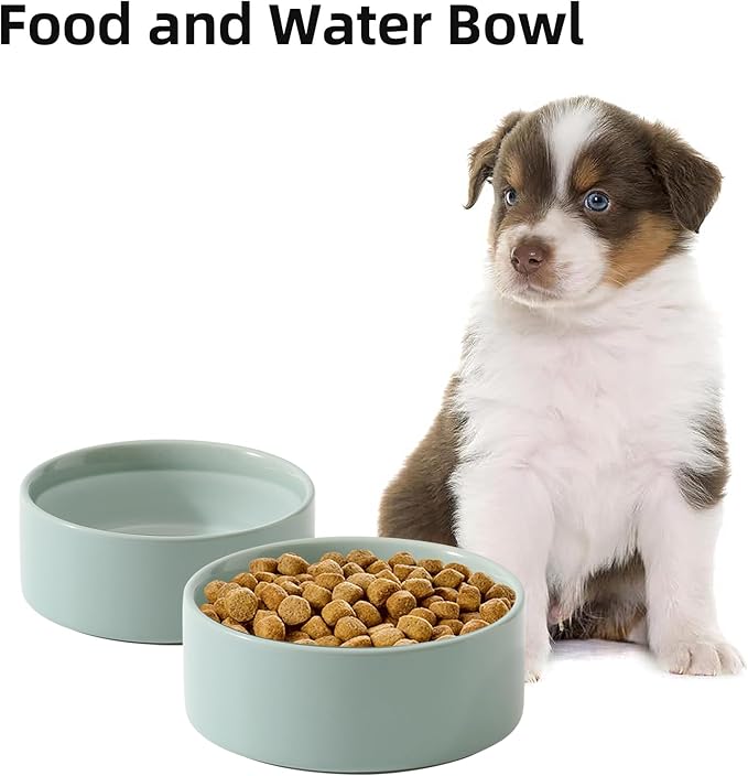 Ceramic Set of 2 Dog Bowls, Food and Water Bowls for Dogs, Puppy, 2pcs Dog Dishes, Pet Feeder(6inch, 2 x Light Green Bowls)