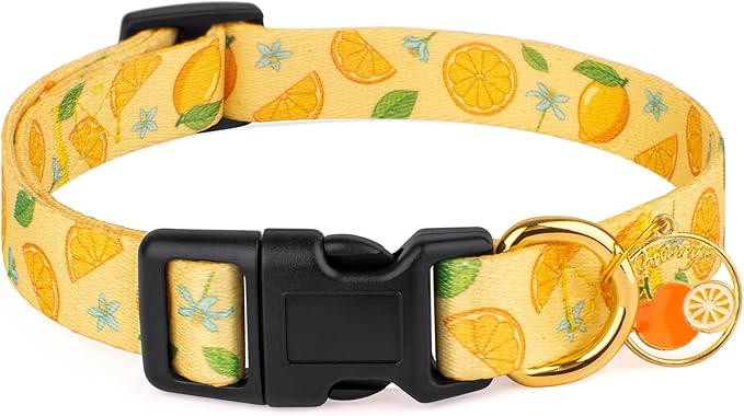 Handmade Dog Collar for Small Medium Large Dogs,Yellow Lemon with Pendant Fall and Winter Fashions Dog Collar (Large)