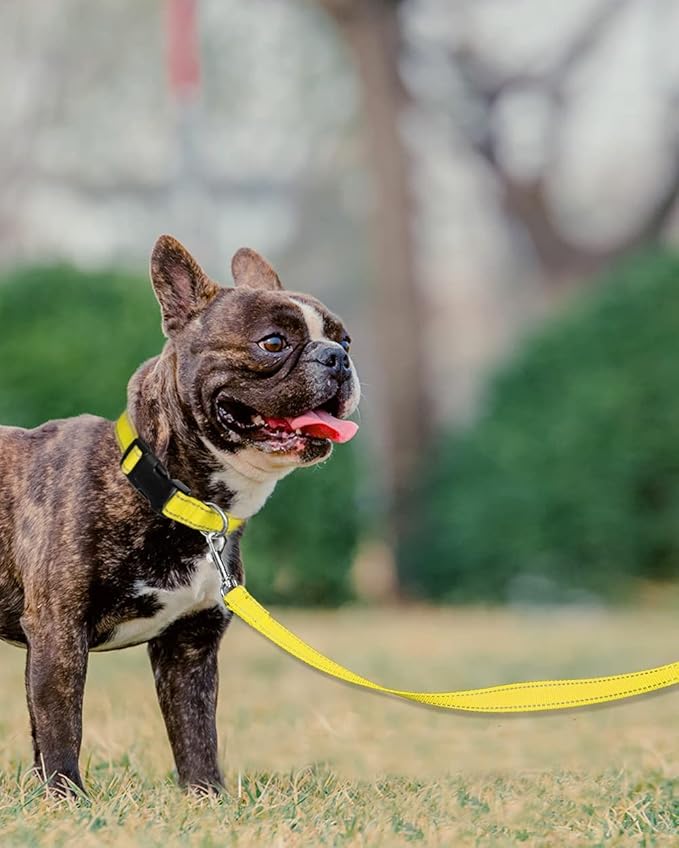 Joytale Dog Leash Heavy Duty for Small Medium Dogs, 5 FT Reflective Nylon Pet Walking Lead with Soft Padded Handle, Durable & Tangle Free for Training, Running & Safety Control, Yellow