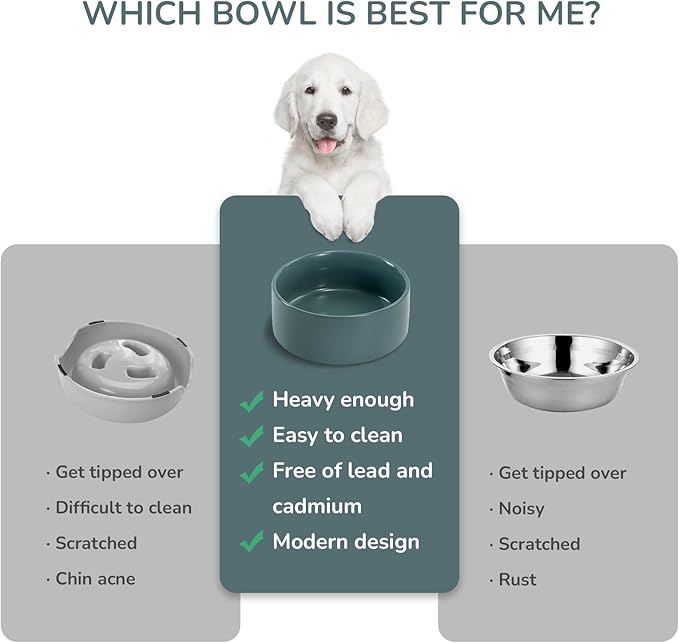 SPUNKYJUNKY 42OZ Ceramic Dog and Cat Bowl, Modern Cute Weighted Food Water Bowl for Replacement Light Green (1 Pack)