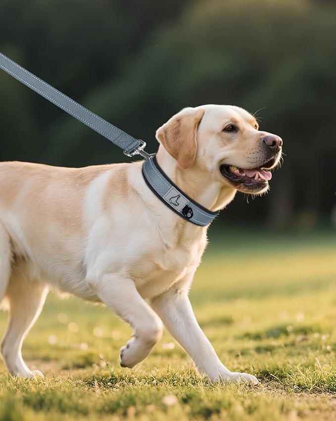 Joytale Dog Collar for Large Dogs, Neoprene Padded and Adjustable, Reflective Wide Heavy Duty Pet Collars with Durable Metal Belt Buckle for Walking, Gray, L