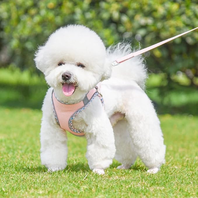 Harness Small Sized Dog, No-Pull Puppy Vest with Leash Set, Breathable Mesh Reflective Pet Harnesses for Outdoor Walking for XXS Xs Small Medium Breed Dogs Cats, Pink-Plaid XSmall