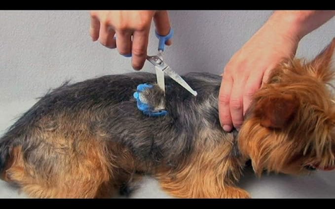 SCAREDY CUT Silent Pet Grooming Kit for Dog, Cat and All Pet Grooming - A Quiet Alternative to Electric Clippers for Sensitive Pets (Left-Handed Blue)