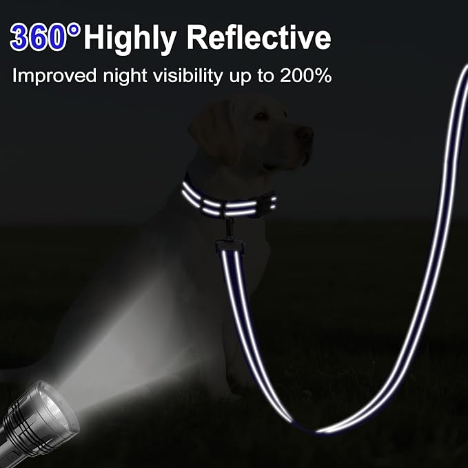 Reflective Dog Leash 4ft Soft Padded Handle Nylon Lead for Small & Medium Dogs, Durable Walking Training Leash for Night Safety (Royal Blue,3/4Inch Wide)