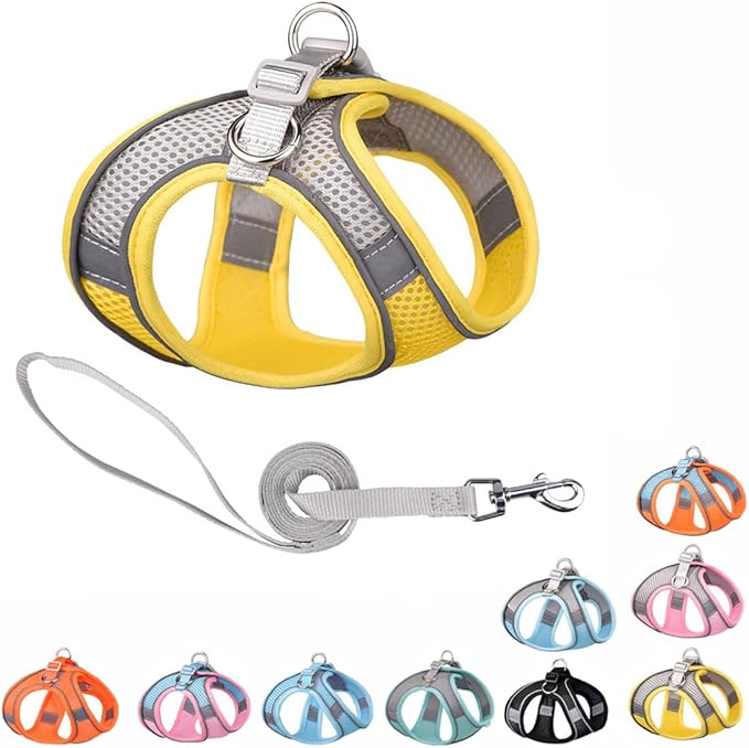 Yellow Dog Harness for Small Dogs, No-Pull Puppy Harness and ith Leash for Easy Walk, Breathable Mesh Reflective Cat Vest for XXS Xs Small Medium Breed Pet Dogs, S