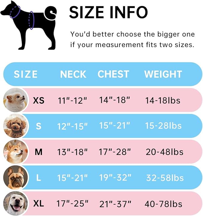 IVY&LANE No Pull Dog Harness with Leash Set, Reflective No Choke Pet Vest,Adjustable Oxford Dog Vest Harness with Easy Control Handle for Medium Lagre Dogs (Checkered Blue,M)