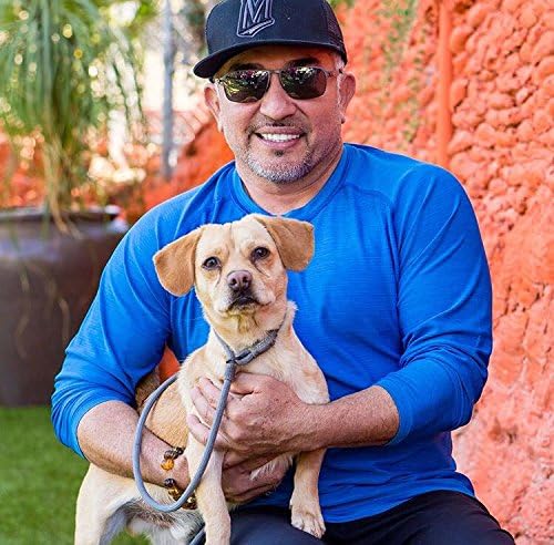 Cesar Millan Slip Lead Leash??- 2-in-1 Slip Collar Dog Training Lead & Collar | Heavy Duty Durable Weatherproof Rope Leash, No Pull Training | Length 4ft Diameter 4/10??Regular, Aqua/Purple)