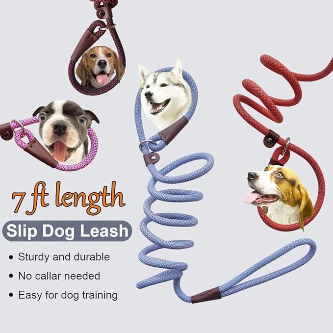 BTINESFUL 7FT Slip Lead Dog Leash, Strong Nylon Rope Leash, 1/4" No Pull Dog Training Lead for Small Medium Dogs