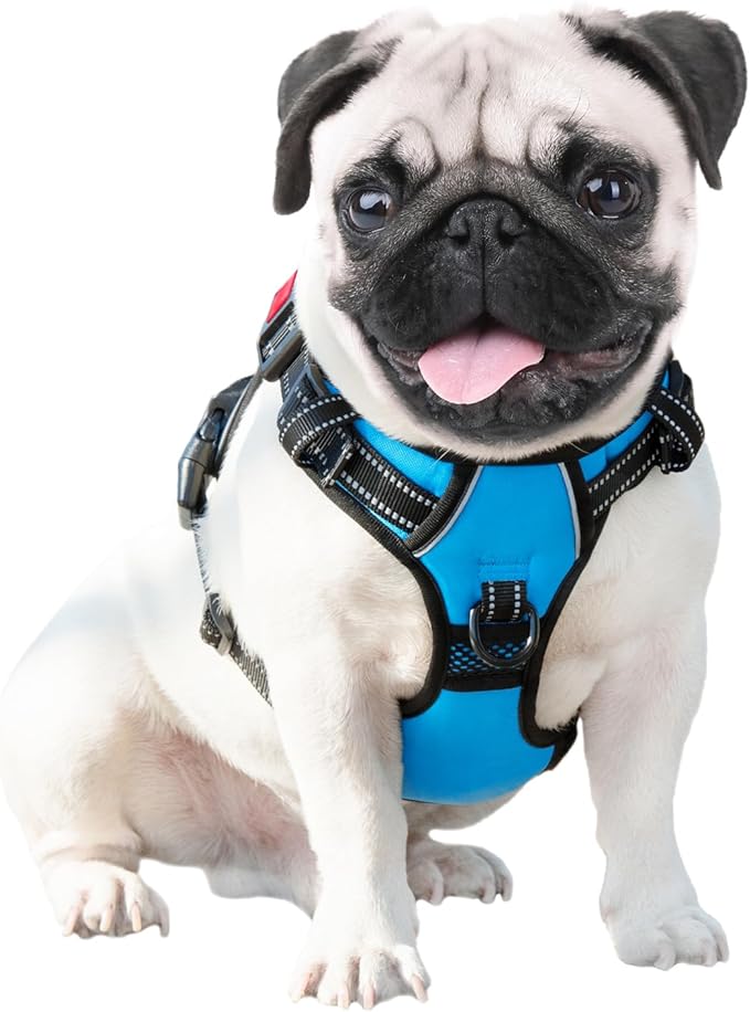 PHOEPET Reflective Dog Harness Large Breed Adjustable No Pull Vest with Handle 2 Metal Rings 3 Buckles [Easy to Put on & Take Off](XL, Blue)