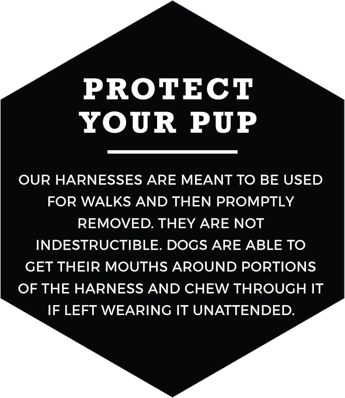 Wolfgang Heavy Duty Adjustable Dog Harness, Pull-Tested to Over 800 lbs for Walking & Training, DarkSkies Print, Medium