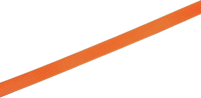 Nylon Dog Leash 12 Feet Long, Walking Training Dog Leashes for Medium Large Dogs(1" X 12 ft, Orange)