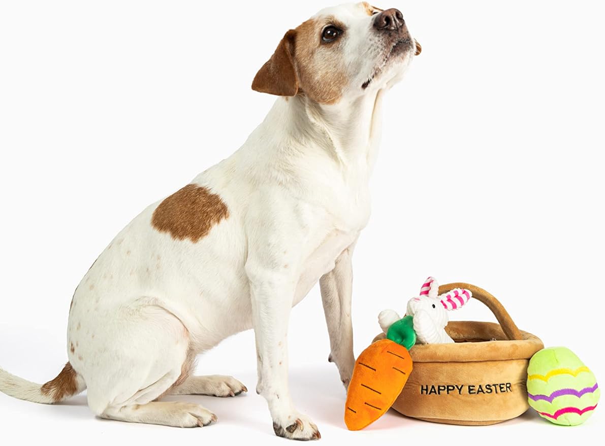 Midlee Hide a Toy Easter Basket Dog Toy
