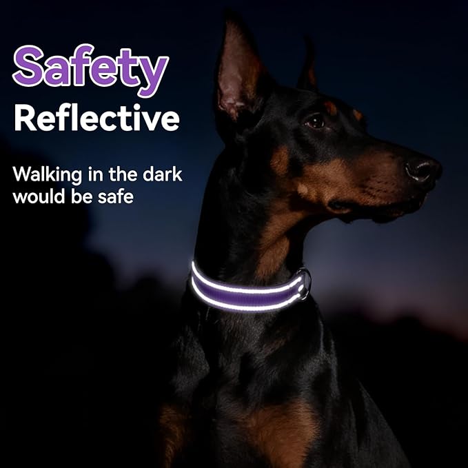 Purple Dog Collar for Mediunm Dogs, Reflective Adjustable Collar with Soft Neoprene Padded, Durable Buckle for Daily Walking,Purple,M, 3/4" Width