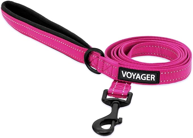 Best Pet Supplies Voyager Reflective Dog Leash or Collar with Neoprene Handle, for Small, Medium, and Large Breed Puppies, Cute and Heavy Duty for Walking, Running and Training - Fuchsia (Leash), S