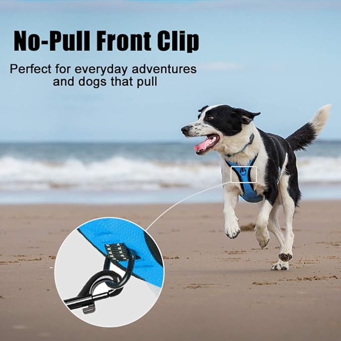 PoyPet No Pull Dog Harness, Reflective Comfortable Vest Harness with Front & Back 2 Leash Attachments and Easy Control Handle Adjustable Soft Padded Pet Vest for Small to Large Dogs (Blue,L)