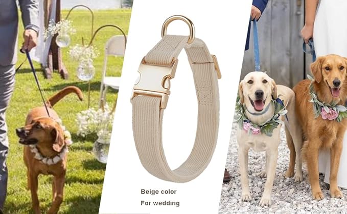 Soft Corduroy Fibric Dog Collar with High Grade Metal Buckle, for Small Dogs.(White,Small:10-15")