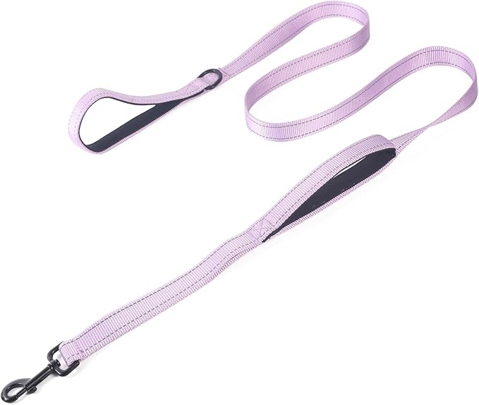 ECO-CLEAN Dog Leash for Large Dogs, Traffic Padded 2 Handles for Extra Control, 6 FT Long with Reflective Stitch for Night Walking (Purple)