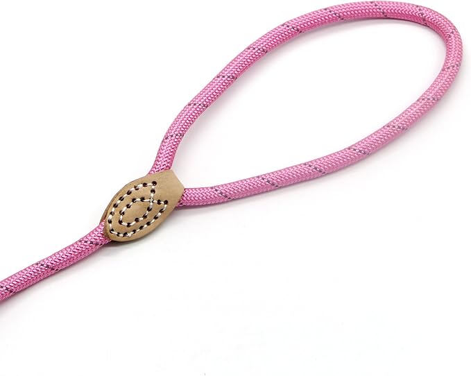 Coolrunner 5 FT Highly Reflective Nylon Dog Leash Standard Training Adjustable Pet Slip Lead for Small and Medium Dogs(10-80 lb)