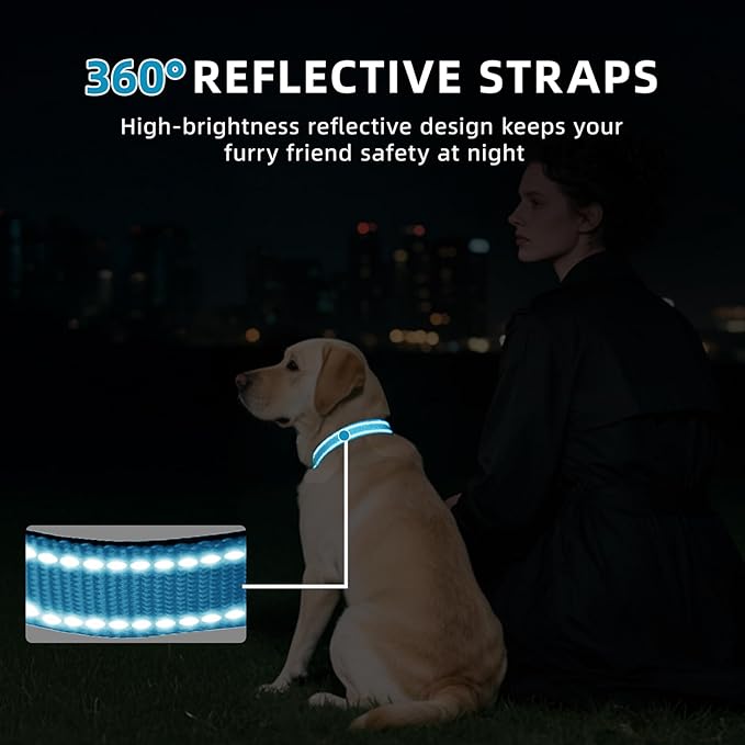 Reflective Dog Collar for Extra Large Dogs, Adjustable Collar with Soft Neoprene Padded, Durable Buckle for Daily Walking,Aqua Blue,XL