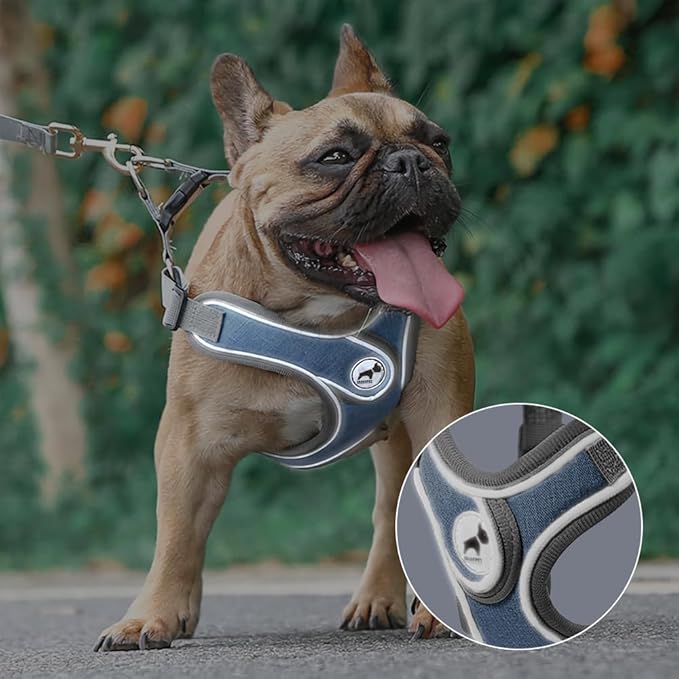Dog Harness with Leash Set, Reflective Strips Adjustable Step in with Breathable Padded Vest Harness for Small Large Dogs Training and Running (S, Gray)