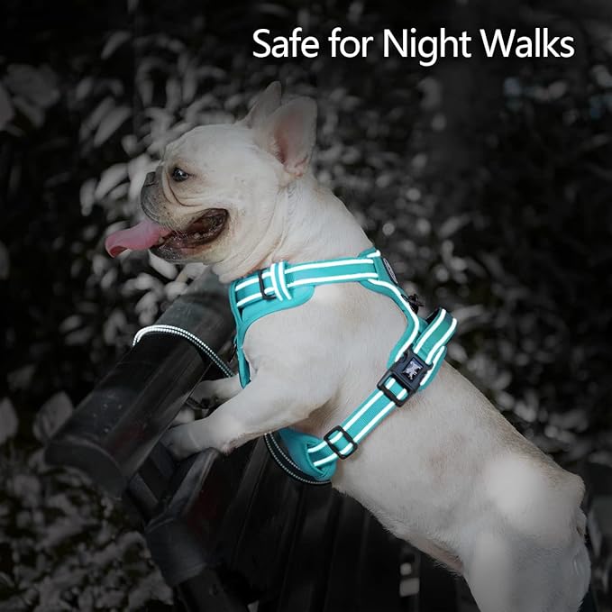 PoyPet No Pull Dog Harness, No Choke Reflective Dog Vest, Adjustable Pet Harnesses with Easy Control Padded Handle for Small Medium Large Dogs(Mint Blue Matching Trim,L)