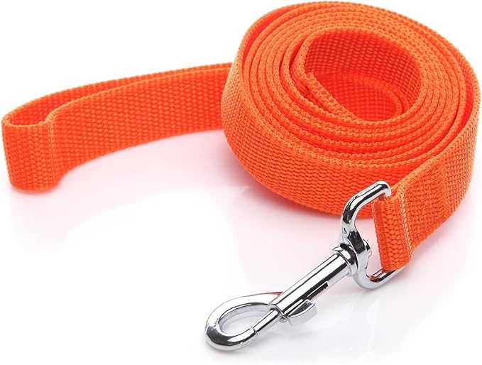 Nylon Dog Leash 8 Feet Long, Walking Training Dog Leashes for Medium Large Dogs