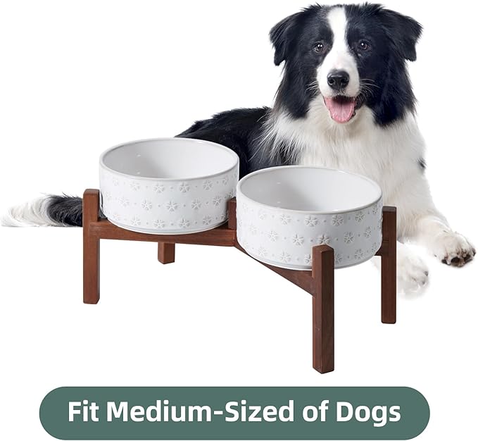 7.3inch Ceramic Raised Double Bowls Set with Acacia Wood Stand, Food & Water Bowls for Medium Breed Dogs, Weighted Dog Dishes, Pet Bowl(41OZ, Arctic White)