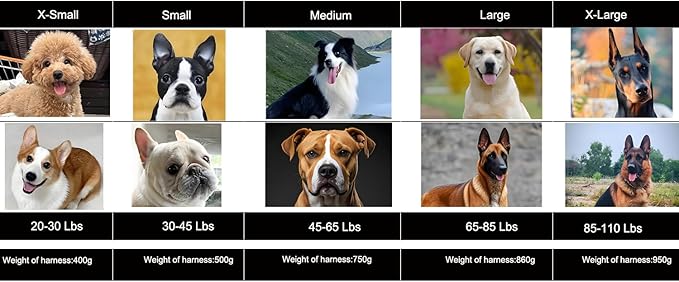 ICEFANG GN3 Tactical Dog Harness with 6X Buckle,Dog Molle Vest with Handle,3/4 Body, Hook and Loop Panel for ID Patch,No Pulling Front Clip (S (Neck 14"-18"; Chest 22"-27"), Safety Orange)