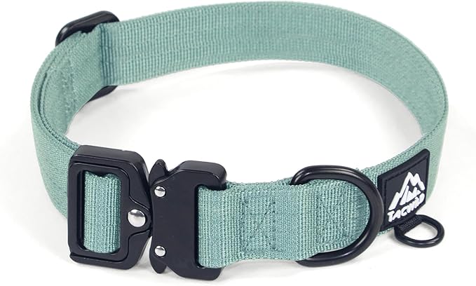 Medium Dog Collar Boy Girl - Adjustable, Chew Proof Nylon Collar with Metal Quick Release Buckle and D-Ring for Dog Tags (Florida Seaside, M(1''Width, Fit 11''-15''))