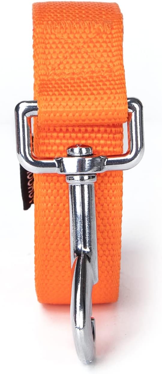 Strong Durable 6ft Nylon Dog Training Leash, 1 Inch Wide Traction Rope, for Small and Medium Dog (Orange, 6 Feet)