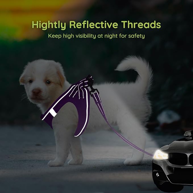 BELLA & PAL Step in Vest Harness for Small and Medium Dogs, No Pull Small Dog Harness with Leash Set, Comfortable Air Mesh Dog Vest Harness with Reflective Strip (Grape Purple, XXS)