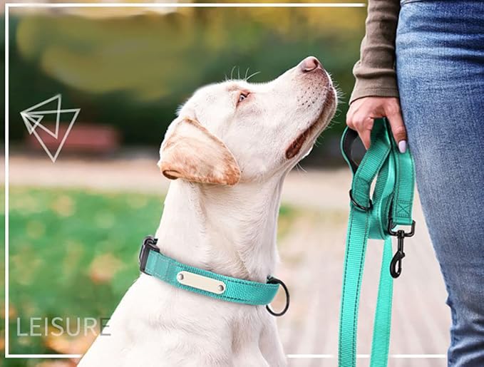 Reflective Nylon Dog Leash Heavy Duty, Two Handles with Padded for Extra Control Outside Durable Training Lead for Small Medium Large Breed Pet Dogs, 5ft Long 1-inch Width, Red
