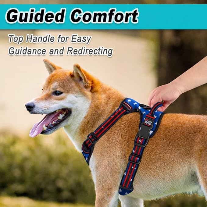 BARKBAY Dog Harness No Pull Mesh for Small Dogs - Adjustable, Reflective, Comfortable, No Choke, Heavy-Duty - Perfect for Outdoor Training, Walking, and Hiking - Strong & Durable- XS & Blue Star Mesh