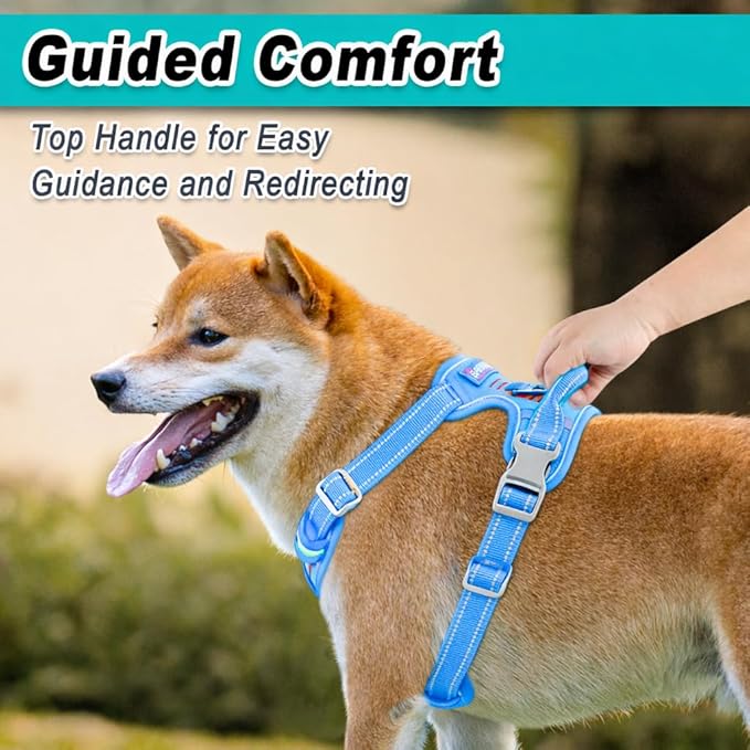 BARKBAY Dog Harness No Pull Mesh for Small Dogs - Adjustable, Reflective, Comfortable, No Choke, Heavy-Duty - Perfect for Outdoor Training, Walking, and Hiking - Strong & Durable - S & Blue Mesh
