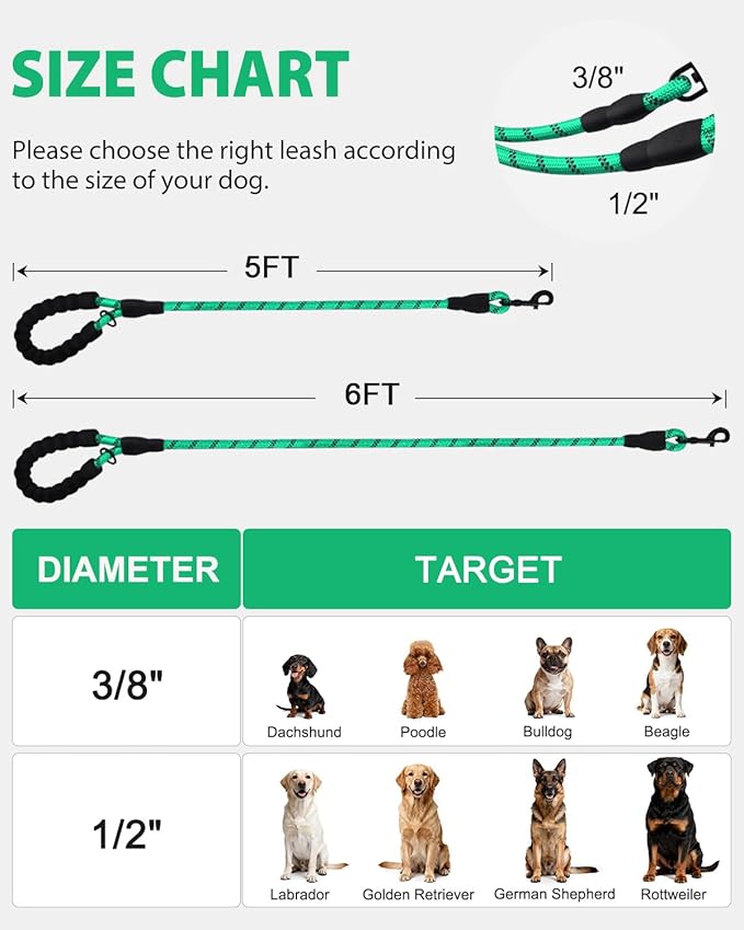 Joytale Dog Leash for Small Dogs, Heavy Duty Nylon Leashes with Comfortable Padded Handle and Highly Reflective Threads, Ideal for Walking and Training, Teal, 6'횞3/8''