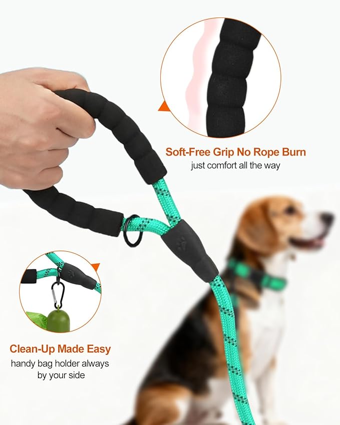 Joytale Dog Leash for Small Dogs, Heavy Duty Nylon Leashes with Comfortable Padded Handle and Highly Reflective Threads, Ideal for Walking and Training, Teal, 5'횞3/8''
