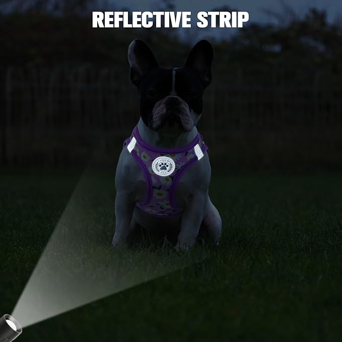 BEAUTYZOO Step in Dog Harness and Leash Set,Floral Pattern Reflective Dog Harness No Pull No Choke Puppy Harness for Small Medium Large Dogs Cats,Soft Padded Mesh Vest Harnesses for Girl and Boy Pets