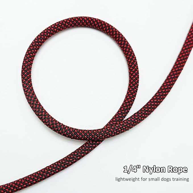 BTINESFUL 7FT Slip Lead Dog Leash, Strong Nylon Rope Leash, 1/4" No Pull Dog Training Lead for Small Medium Dogs