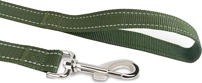 Reflective Dog Leash 4Ft /6 Feet Long, 3/4 Inch Wide, for Small and Medium Dogs