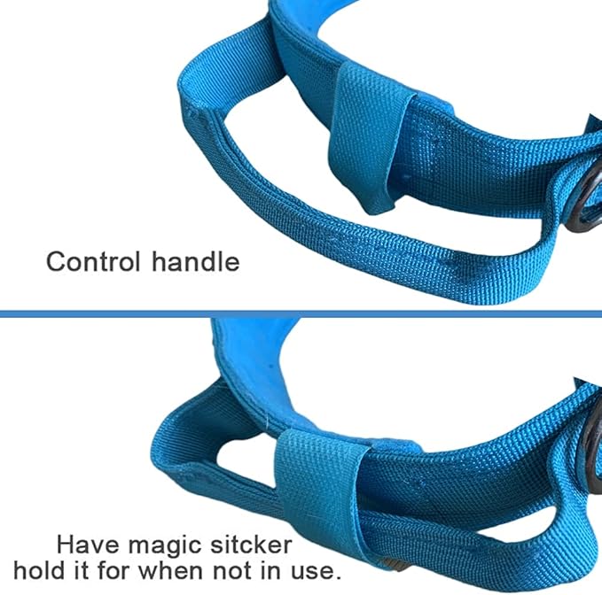 Xqpetlihai Tactical Dog Collar Adjustable Military Nylon Dog Collar with Control Handle and Heavy Duty Metal Buckle for Medium and Large Dogs (Blue,L)