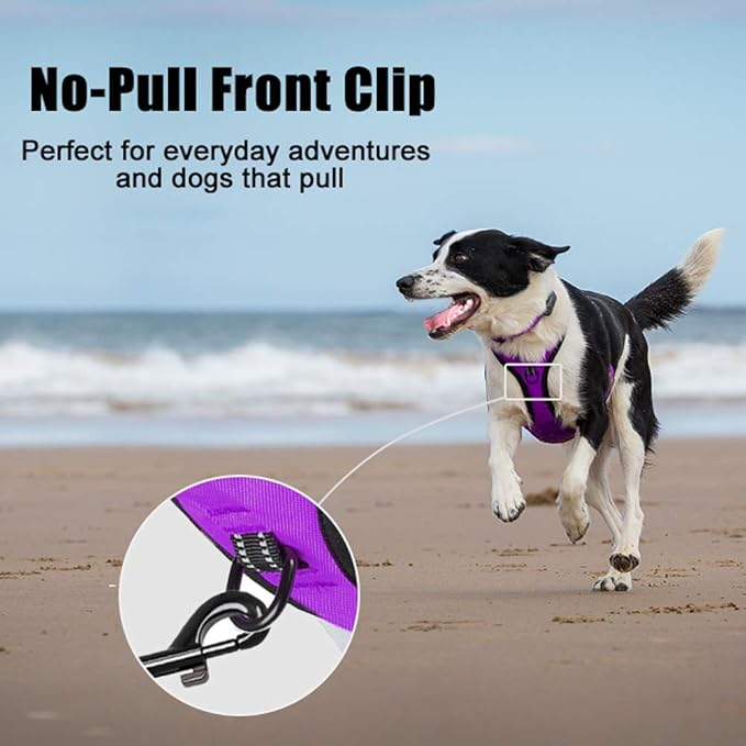 PoyPet No Pull Dog Harness, Reflective Comfortable Vest Harness with Front & Back 2 Leash Attachments and Easy Control Handle Adjustable Soft Padded Pet Vest for Small to Large Dogs (Purple,L)