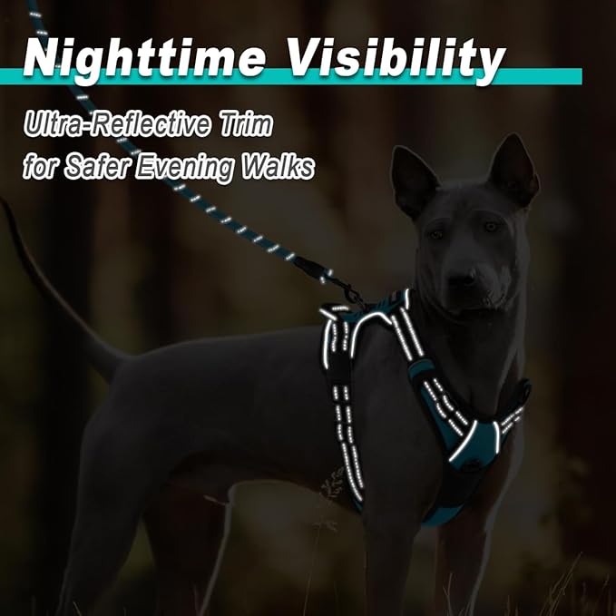 BARKBAY Dog Harness No Pull Mesh for Small Dogs - Adjustable, Reflective, Comfortable, No Choke, Heavy-Duty - Perfect for Outdoor Training, Walking, and Hiking - Strong & Durable - XS & Blue Mesh