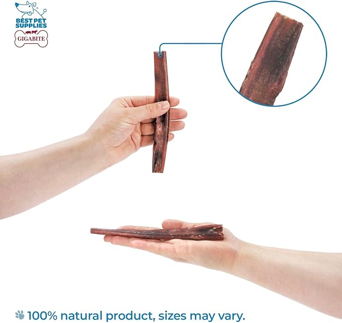 GigaBite Single Ingredient All Natural Free Range Bully Treats and Chews - Bully Sticks/Bladder Sticks/Beef Esophagus by Best Pet Supplies - Bully Sticks (Half-cut 6"), Pack of 10