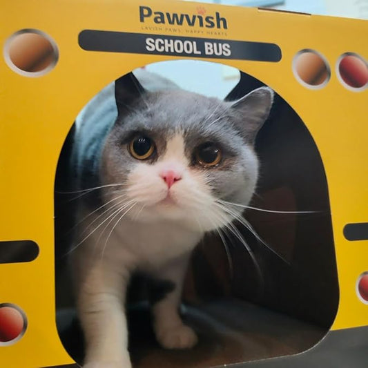 School Bus Cardboard Cat House and Scratcher, Play House, Scratching Pad, Corrugated Hideaway Cave, Cute Kitty Condos Box, Bed for Indoor Cats, Kittens, Bunny, Fur Babies