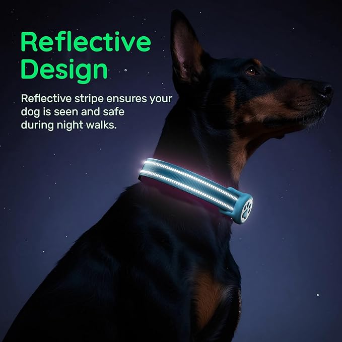 Airtag Dog Collar, Reflective Ultra-Durable Nylon Padded with QR Code Buckle & IP68 Waterproof Air Tag Holder Compatible for Apple AirTag, Comfortable for Small Medium Large Dogs(Blue,L)