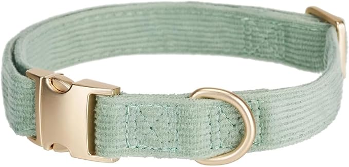 Cotton Fibric Dog Collar with High Grade Metal Buckle, for Small Dogs(Light Green,Small:10-15")