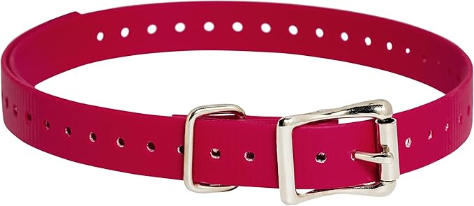 SportDOG 3/4-Inch Collar Strap - Waterproof Replacement Strap for Rugged Outdoor Use - Adjustable Collar with High Visibility - Red